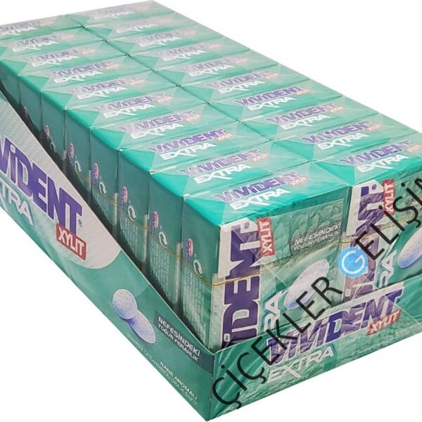 VİVİDENT BOX Extra Nane