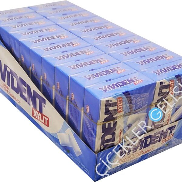 VİVİDENT BOX Yeşil Nane