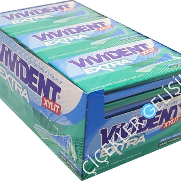 VİVİDENT CÜZDAN EXTRA NANE