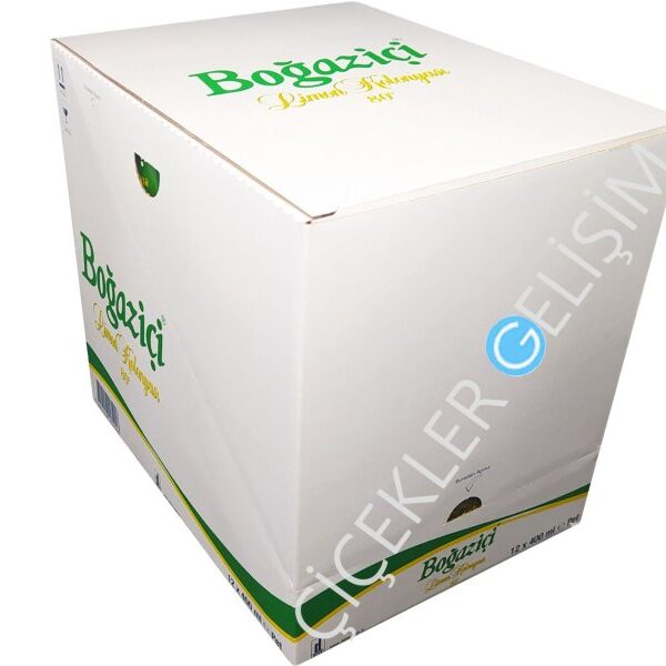 BOĞAZİÇİ KOLONYA PET 400 Ml